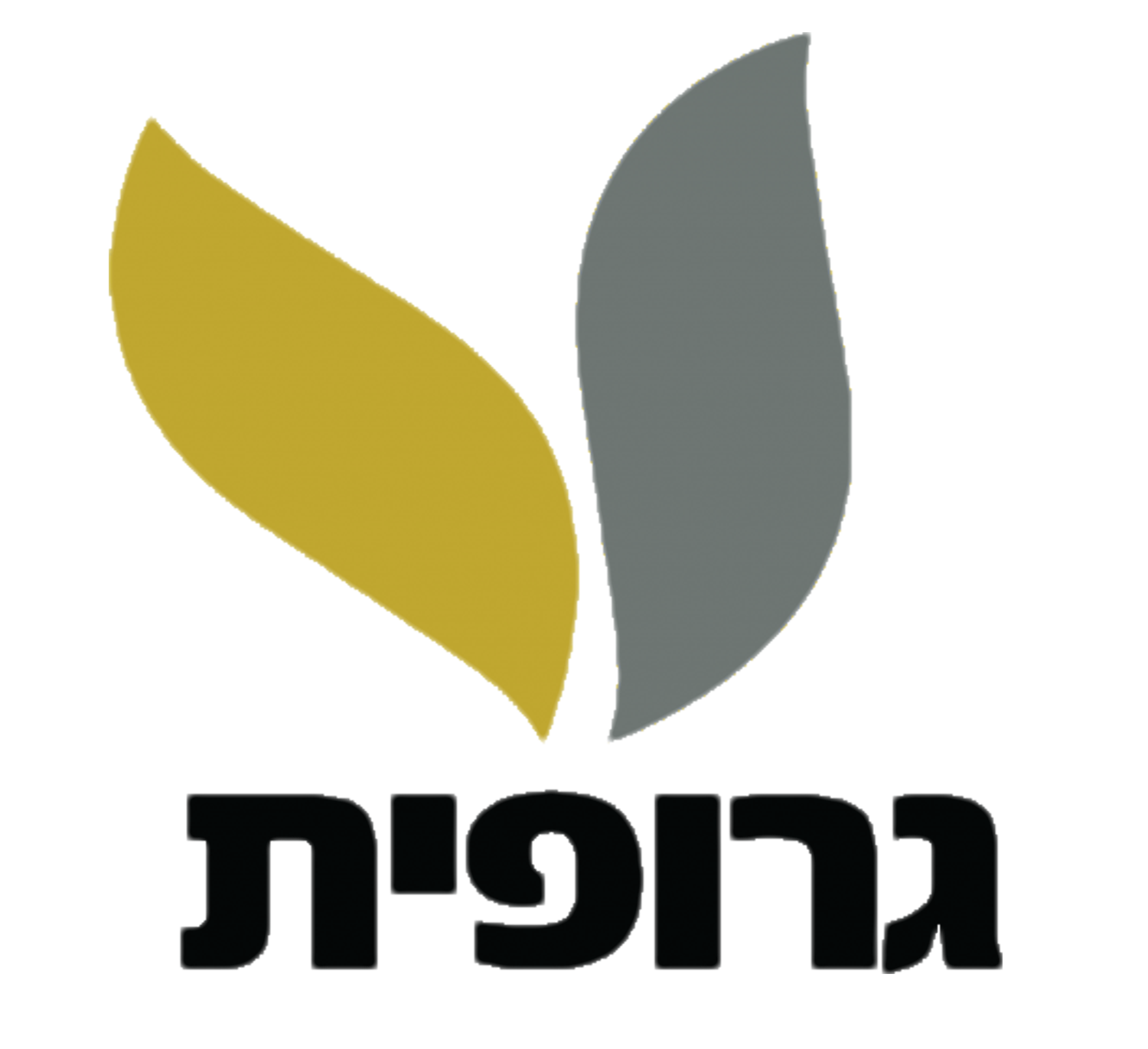לוגו חברת בנייה גרופית